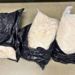 Illegal Alien From Mexico Faces Drug Charges After 130+ Lbs Meth Seizure In Georgia