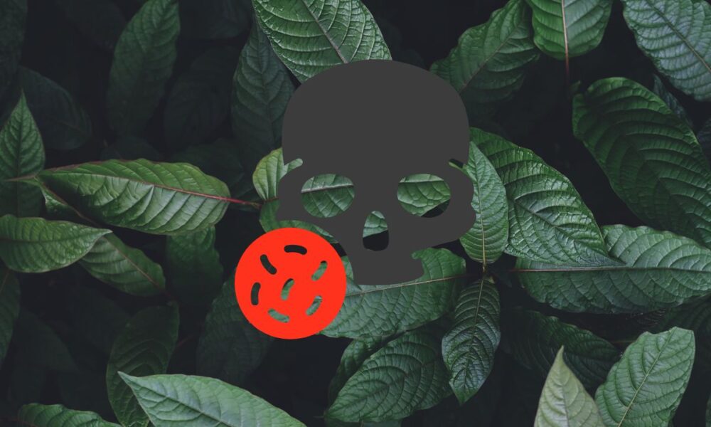 Deadly Kratom Alert: California Retailers Accused Of Selling 50x Legal Limit Of Potent 7-OH To Texas Consumers