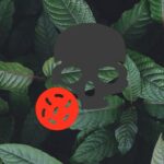 Deadly Kratom Alert: California Retailers Accused Of Selling 50x Legal Limit Of Potent 7-OH To Texas Consumers