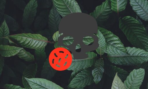 Deadly Kratom Alert: California Retailers Accused Of Selling 50x Legal Limit Of Potent 7-OH To Texas Consumers