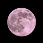 April’s Pink Moon Lights Up Global Skies Amid NASA’s Historic Artemis II Launch