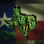 Texas Hemp War: Why A Courtroom Battle In Travis County Could Change Everything