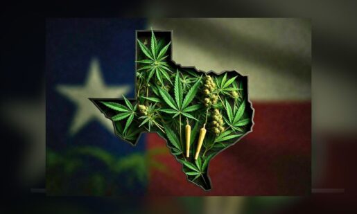 Texas Hemp War: Why A Courtroom Battle In Travis County Could Change Everything