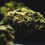 Smokable THC Back On Shelves: Travis County Judge Blocks Texas Hemp Crackdown… For Now