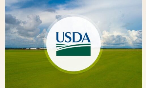 USDA Announces Major Reorganization Of Food Safety Agency