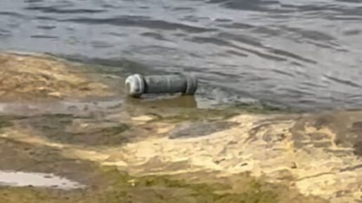 Pipe Bomb Found Along Lake Lewisville At Lake Park