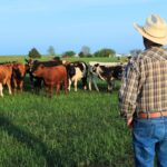 No More Federal Land Grabs? Ted Cruz Pushes Protection For Texas Ranchers