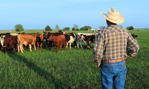 No More Federal Land Grabs? Ted Cruz Pushes Protection For Texas Ranchers