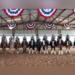 Clydesdales And Troopers: Texas DPS Celebrates New Mounted Patrol Headquarters