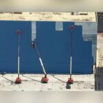 Cease-and-Desist Issued As Crews Cover Dallas Landmark Whale Mural For World Cup