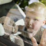 A Deadly Reminder About Kids, Pets, And Hot Cars