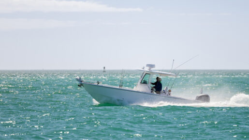 Teen Hospitalized After Shark Bite Miles Offshore Near Galveston