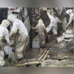 Millions Of Honeybees Escape After Semi Carrying Hives Overturns In East Texas