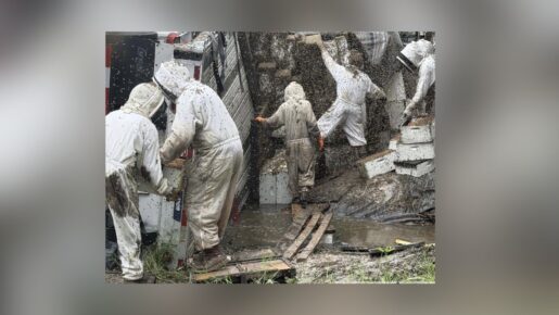 Millions Of Honeybees Escape After Semi Carrying Hives Overturns In East Texas