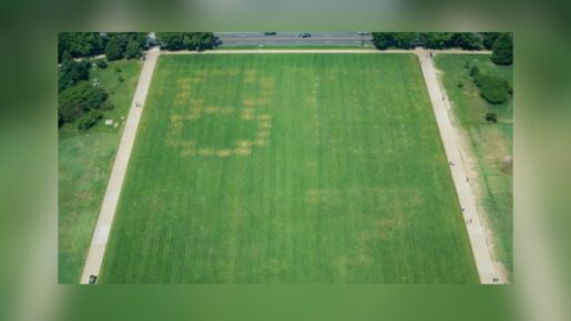 Mystery ‘8647’ Etched Into DC Grass Near WWII Memorial