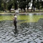 Former Olympian Denies Reflecting Pool Vandalism As Trump Says Multiple Arrests Made