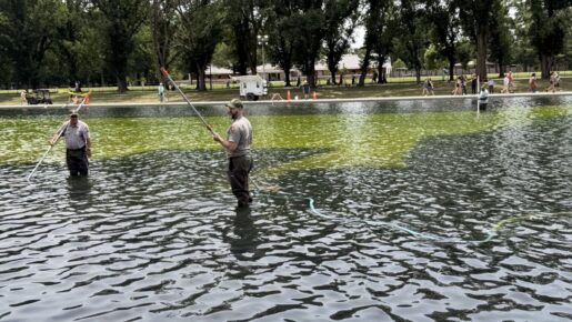 Algae And Peeling Material Hit Lincoln Reflecting Pool