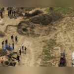 600+ Dog Collars And Mass Graves Uncovered At Miranda’s Rescue – FBI Joins Probe