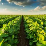 Trump Executive Order Expands Support For Regenerative Agriculture