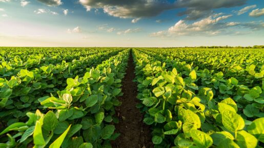 Trump Executive Order Expands Support For Regenerative Agriculture