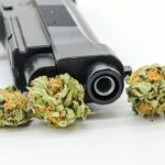 Texas Man Wins Supreme Court Gun Rights Case Over Marijuana Use