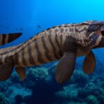 12-Year-Old Finds 85-Million-Year-Old Tylosaurus Fossil During Field Trip