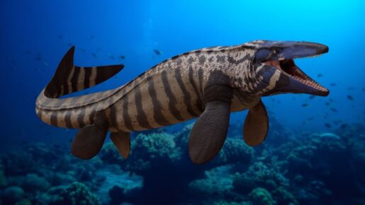 12-Year-Old Finds 85-Million-Year-Old Tylosaurus Fossil During Field Trip