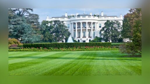 ScottsMiracle-Gro Donates $1M To Restore White House Lawn After UFC Event