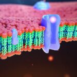 New Study Reveals Why Millions May Be Getting The Wrong Cholesterol Test