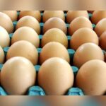 1.5 Million Dozen Eggs Recalled For Salmonella Risk – Check Your Carton