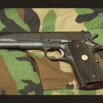 Narrow House Vote Advances Personal Firearm Carry On U.S. Military Bases