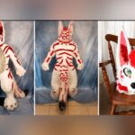 Furry Costume ‘Nightmare Of Sexual Abuse’ Lands Frisco Man 20 Years