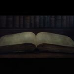 The Vanishing Page: AI Firms Scan Then Destroy Rare Book Editions