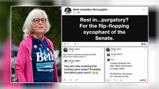 Tarrant Democratic Candidate, Party Vice Chair Draw Criticism Over Lindsey Graham Posts
