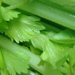 $15M Meth Bust: Border Officers Find 1,675 Pounds Concealed In Fresh Celery Load