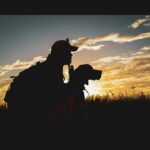 Interior Opens 92 Million Acres To Hunting: What North Texas Hunters Need To Know