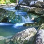 Austin & LCRA Announce First Lake Austin Drawdown Since 2017 — Boat Ramps Temporarily Closing