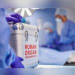 Still Alive? Organ Donor Group Faces Shutdown Over Patients Who May Not Have Been Dead