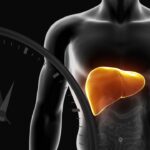 Study: How The Liver Uses Its Daily Clock To Send Fat-Burning Signals