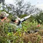 Texas Sets First Statewide September 1 Dove Opener