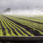 Texas Agriculture Commissioner Candidates Lay Out Rival Plans For Texas’ Water Future