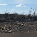 Ross Fire 100% Contained After 23 Days, 90,000 Acres In North Texas