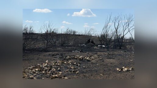 Ross Fire 100% Contained After 23 Days, 90,000 Acres In North Texas