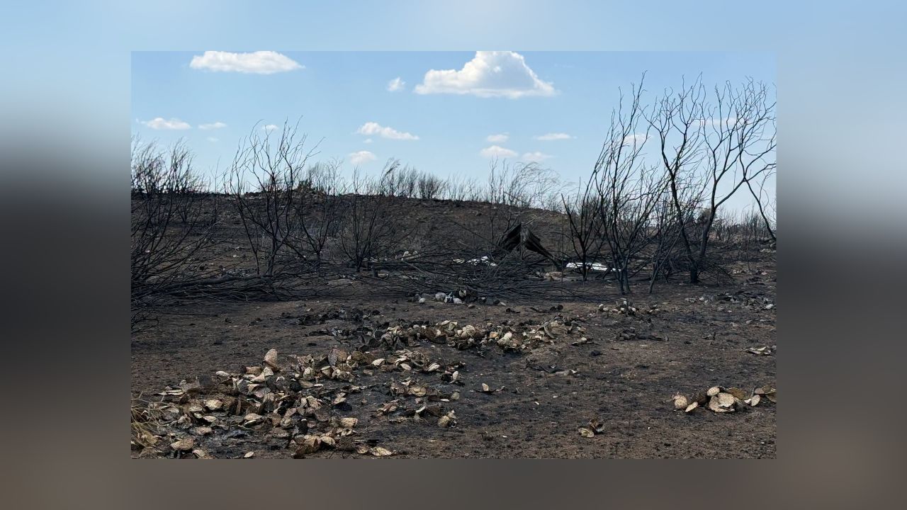 Ross Fire 100% Contained After 23 Days, 90,000 Acres In North Texas