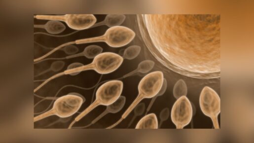 Scientists Study Whether Humans Could Reproduce In Space
