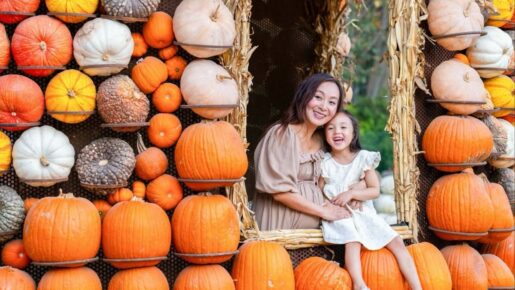 More Than 100,000 Pumpkins Fill Dallas Arboretum Through November 1