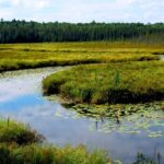 Farmers, Builders, And Texas Landowners Get Another Say On Clean Water Act Reach