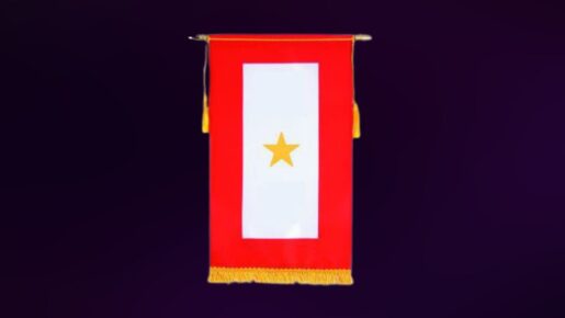 A Folded Flag, A Lifetime Of Loss: America Honors Gold Star Families