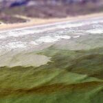 Red Tide Hits Galveston Beaches: You Don’t Have To Swim To Feel It