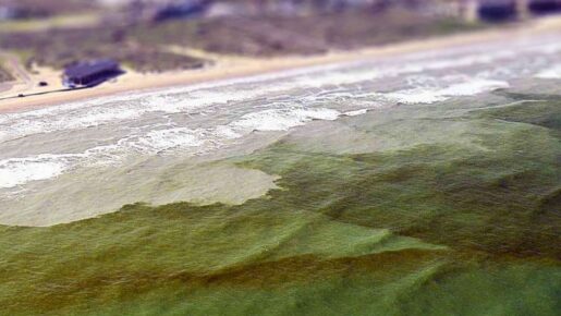 Red Tide Hits Galveston Beaches: You Don’t Have To Swim To Feel It